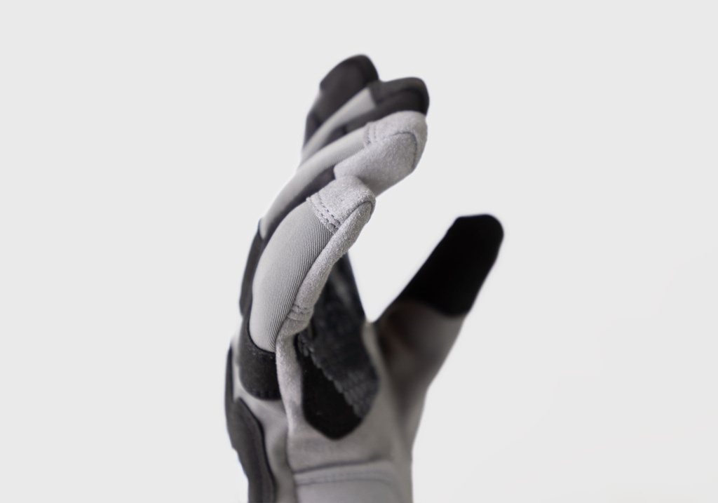 Alpine Windproof Glove v2 2024